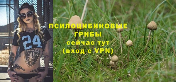 шишки Михайлов
