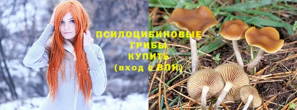 марки nbome Михайловск