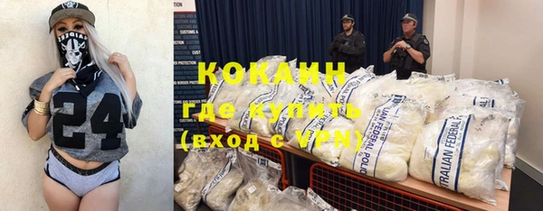 шишки Михайлов
