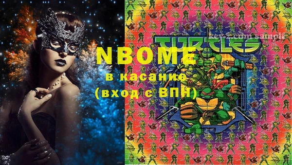 шишки Михайлов