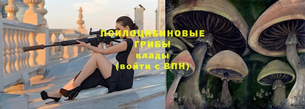 шишки Михайлов