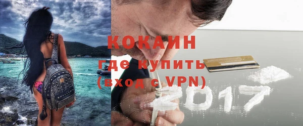шишки Михайлов