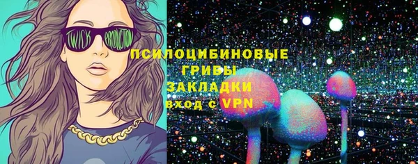 шишки Михайлов