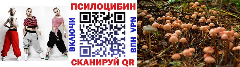ОМГ ОМГ ссылка  Рубцовск  Галлюциногенные грибы MAGIC MUSHROOMS 